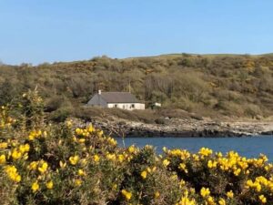 Lichen Cottage